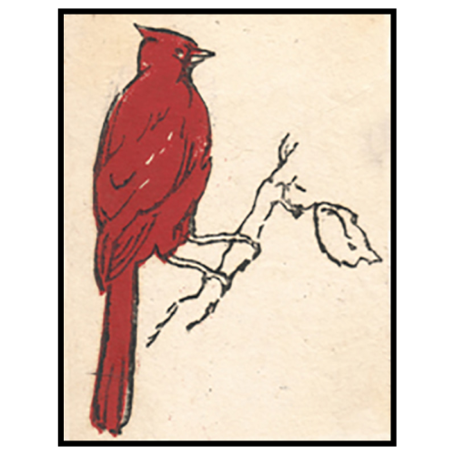 Cardinal