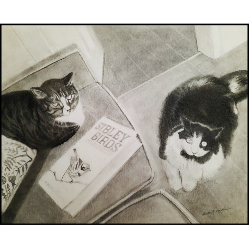 Delilah and Taco