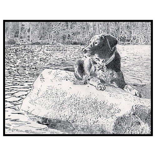 Frodo On His Rock
