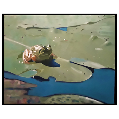 Frog on Lily Pad