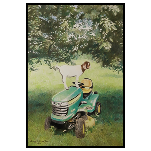 Goat on a Deer