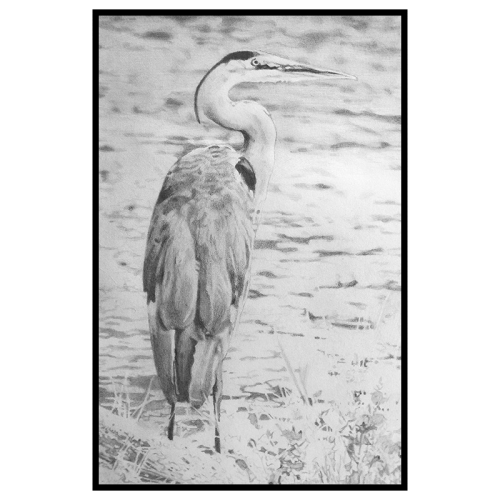 2019 ~ Pencil on paper. Credits: From photo by Kate Wilcox (with permission).
