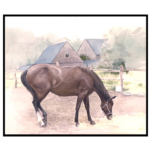 Mom's Mare