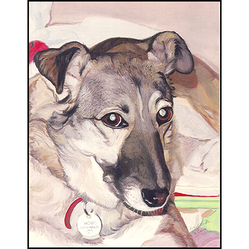 Animals, Birds & Amphibians